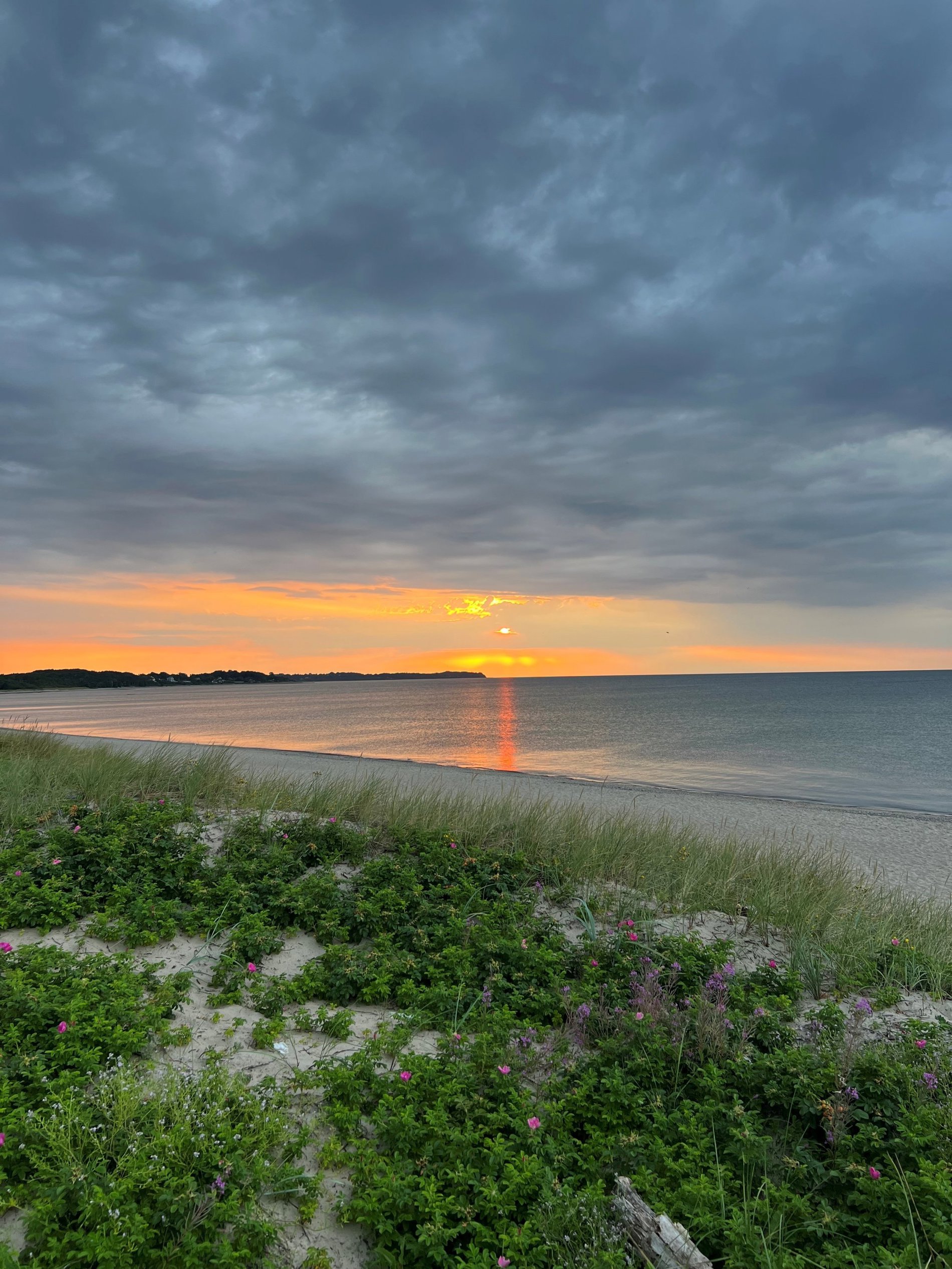 Ringgårdsvej 30, 3100 Hornbæk - Billed