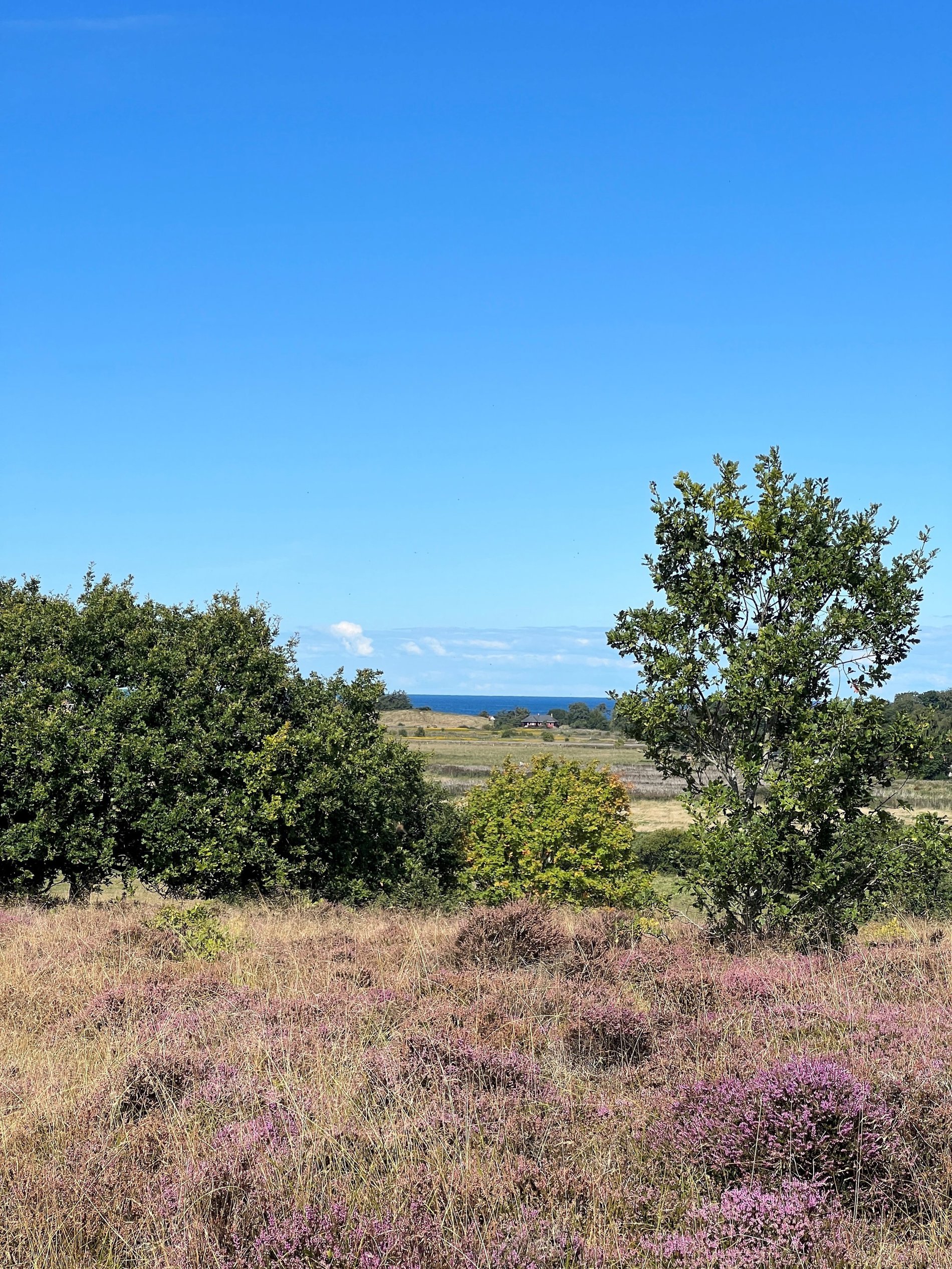 Uglevej 3, 3120 Dronningmølle - Billed