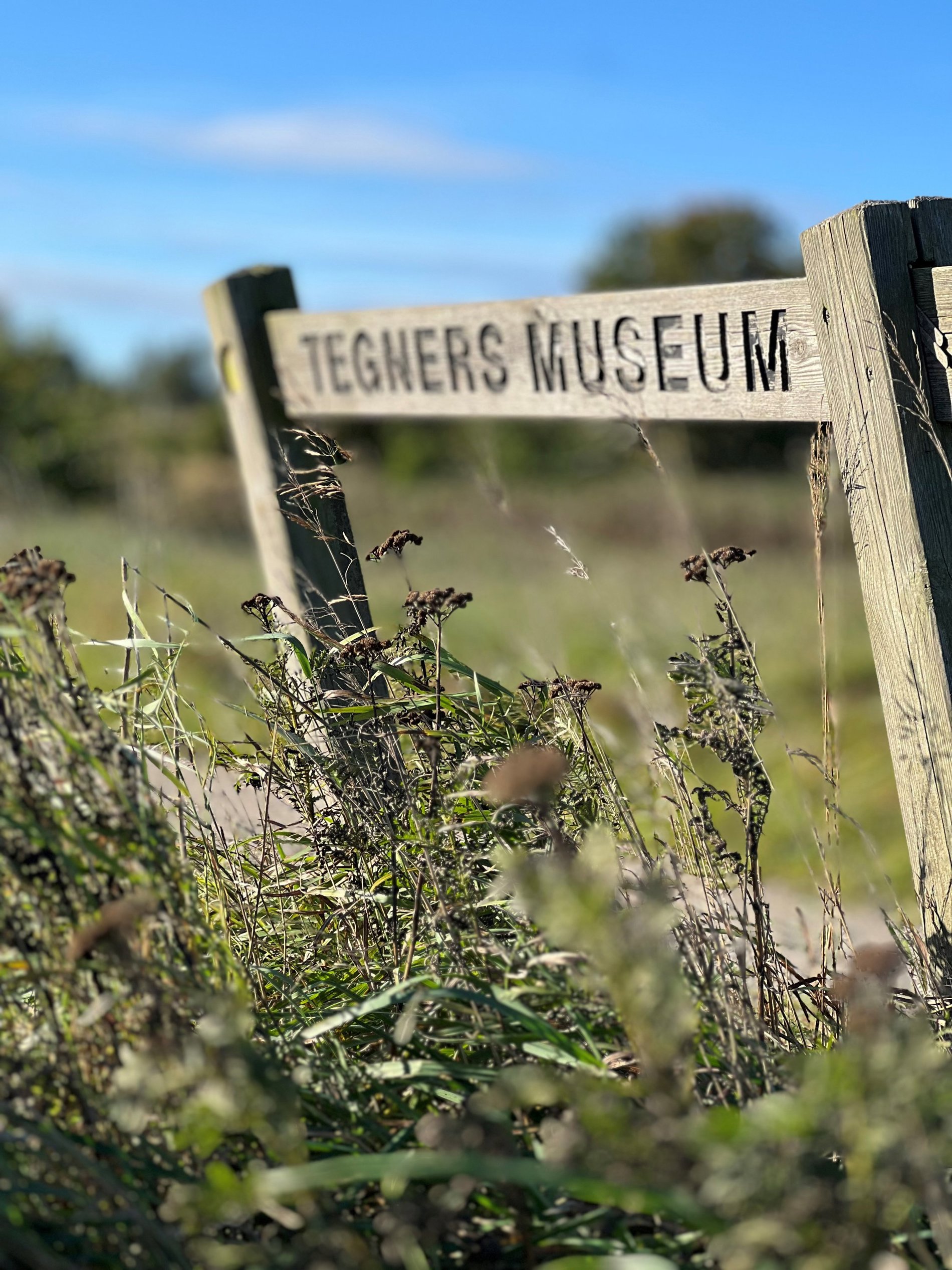 Ny-Ager 36, 3120 Dronningmølle - Billed