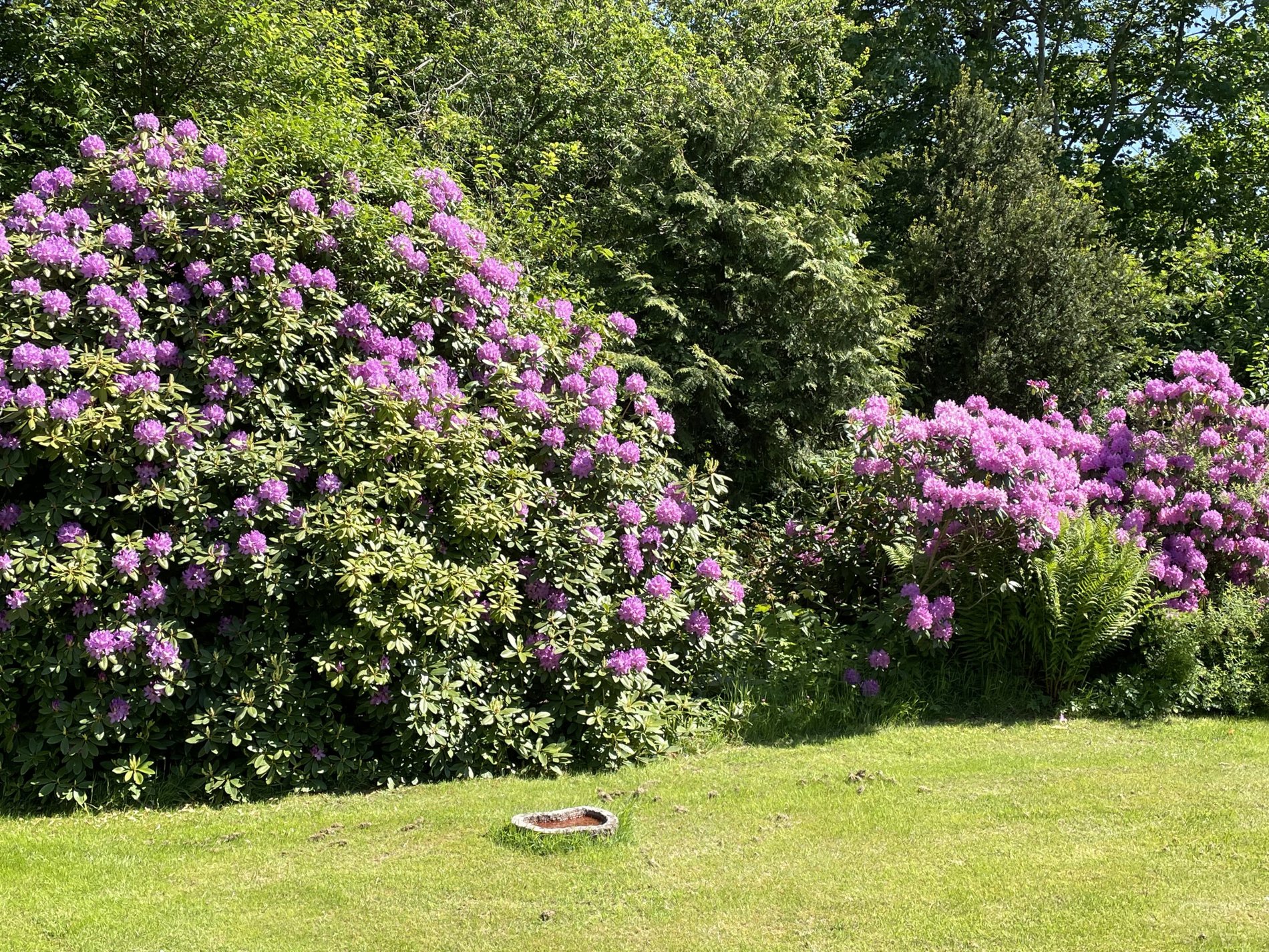 Edenvej 11, 3100 Hornbæk - Billed