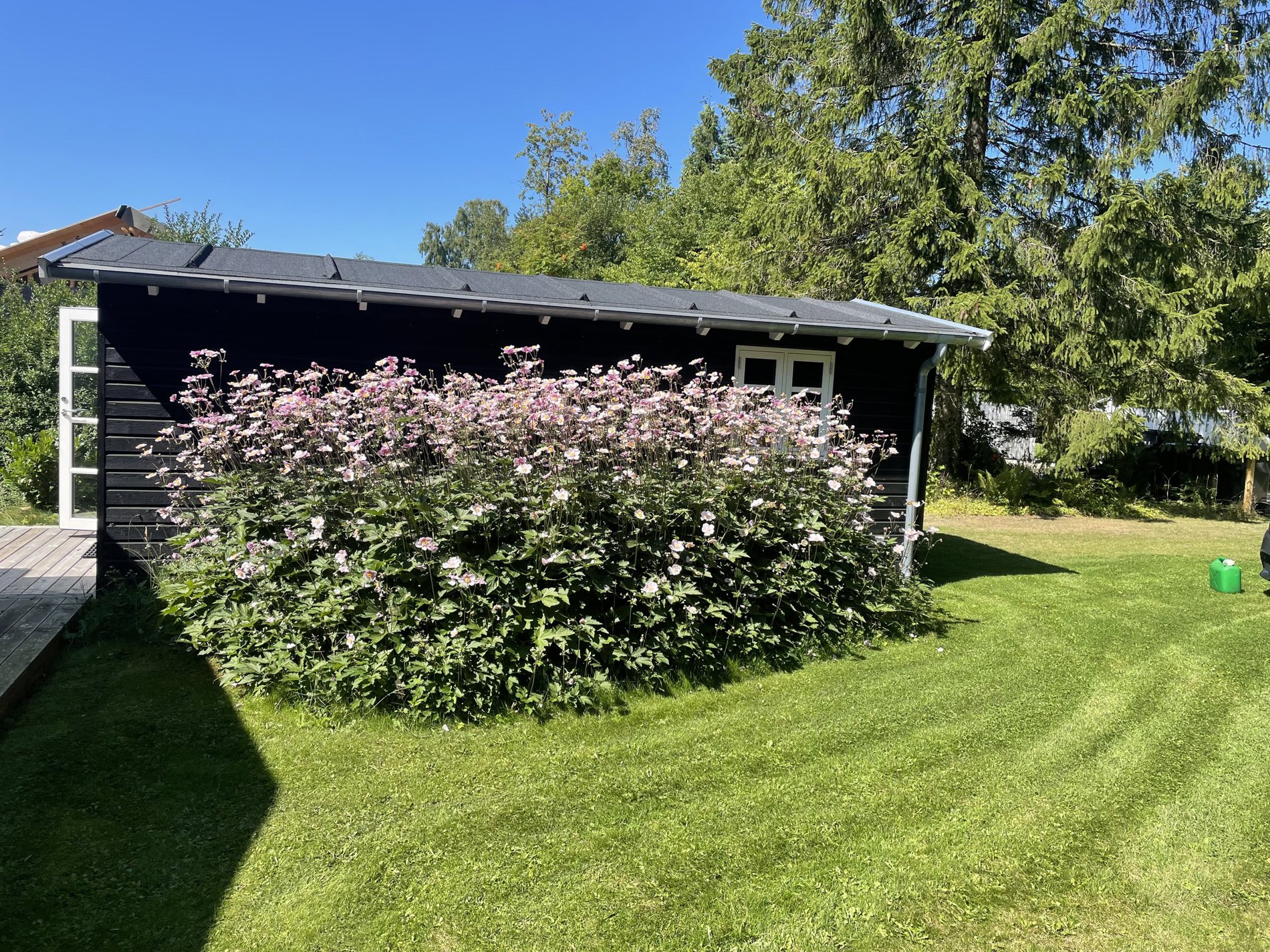 Edenvej 11, 3100 Hornbæk - Billed