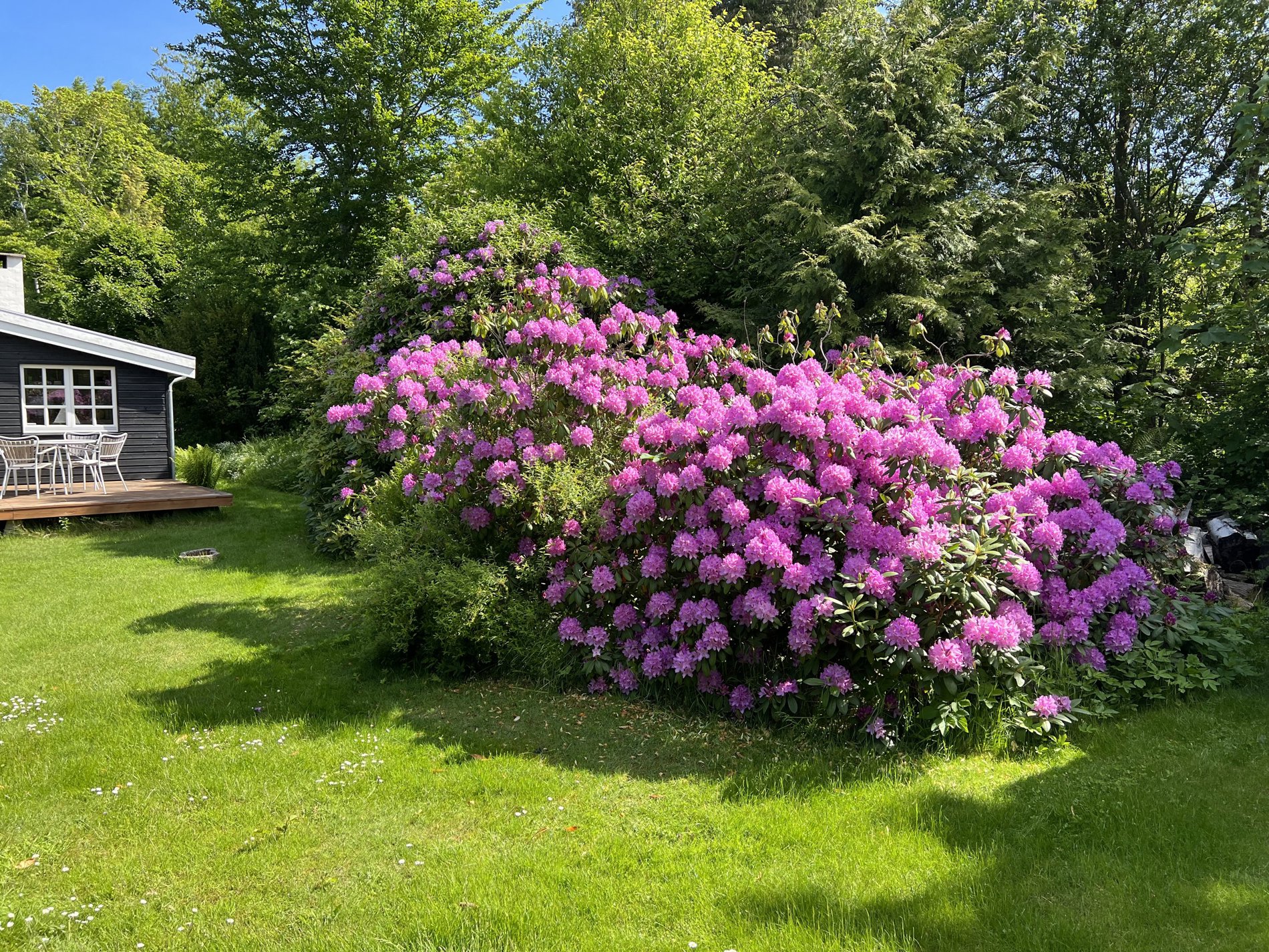 Edenvej 11, 3100 Hornbæk - Billed