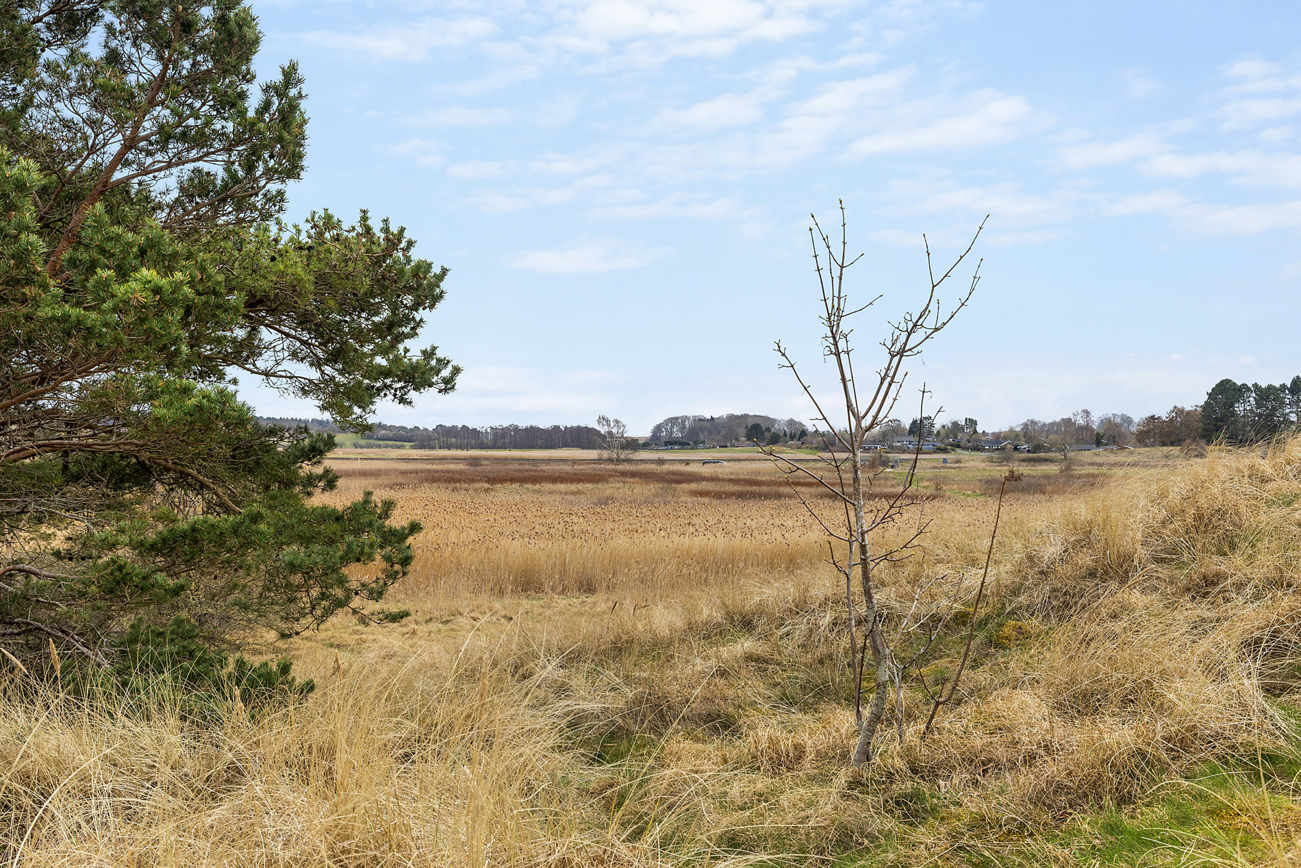 Villingebæk Strandvej 591B, 3120 Dronningmølle - Billed