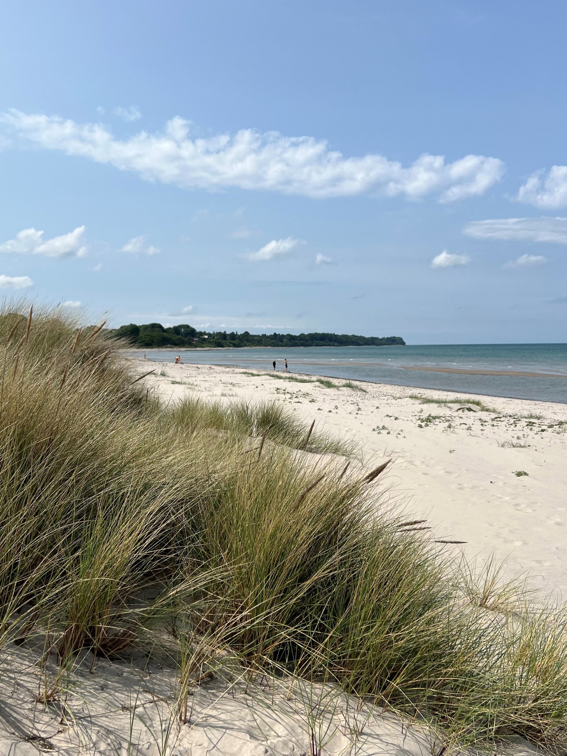 Hejrevej 40, 3120 Dronningmølle - Billed