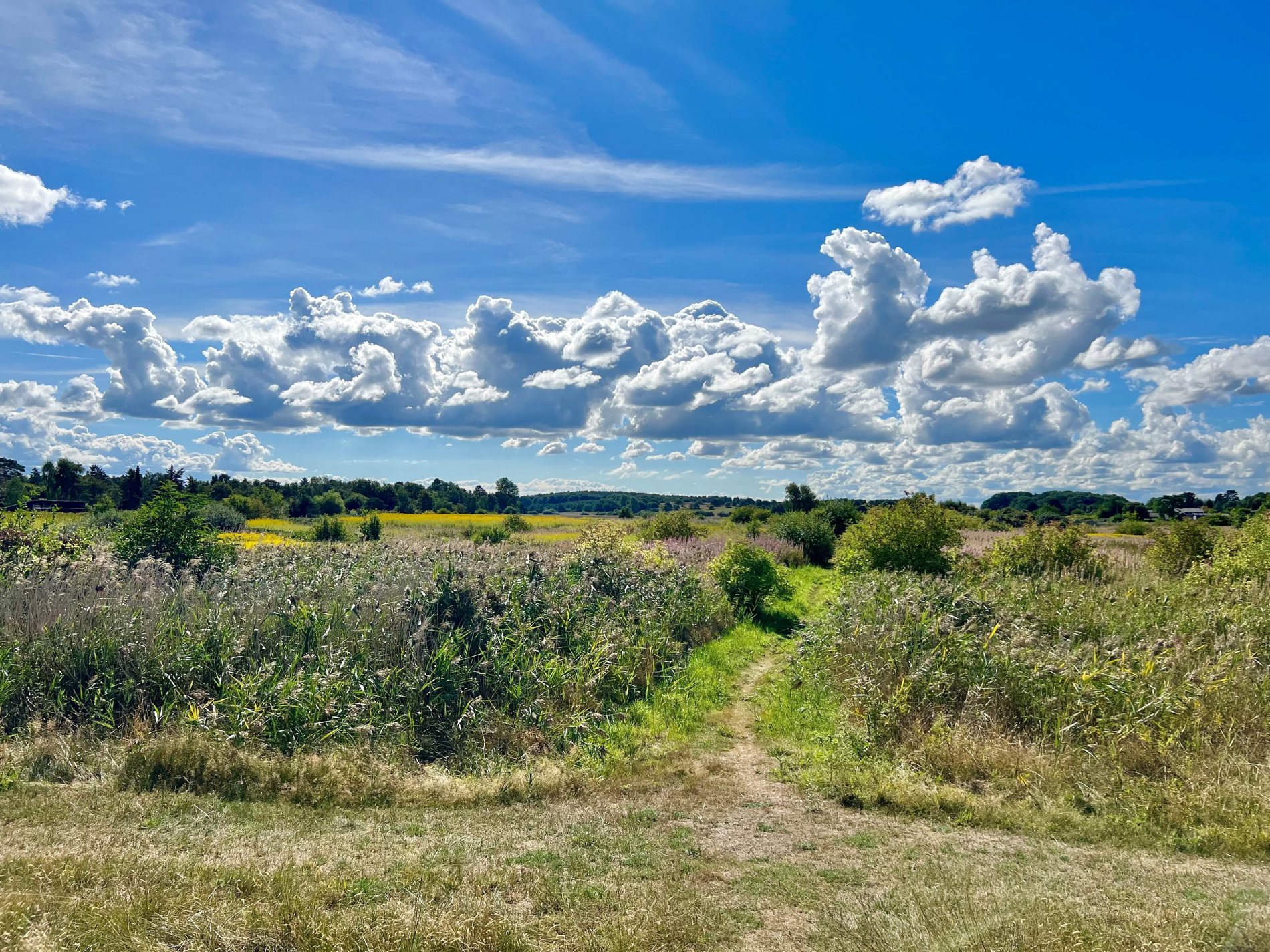 Solbakkevej 5A, 3100 Hornbæk - Billed