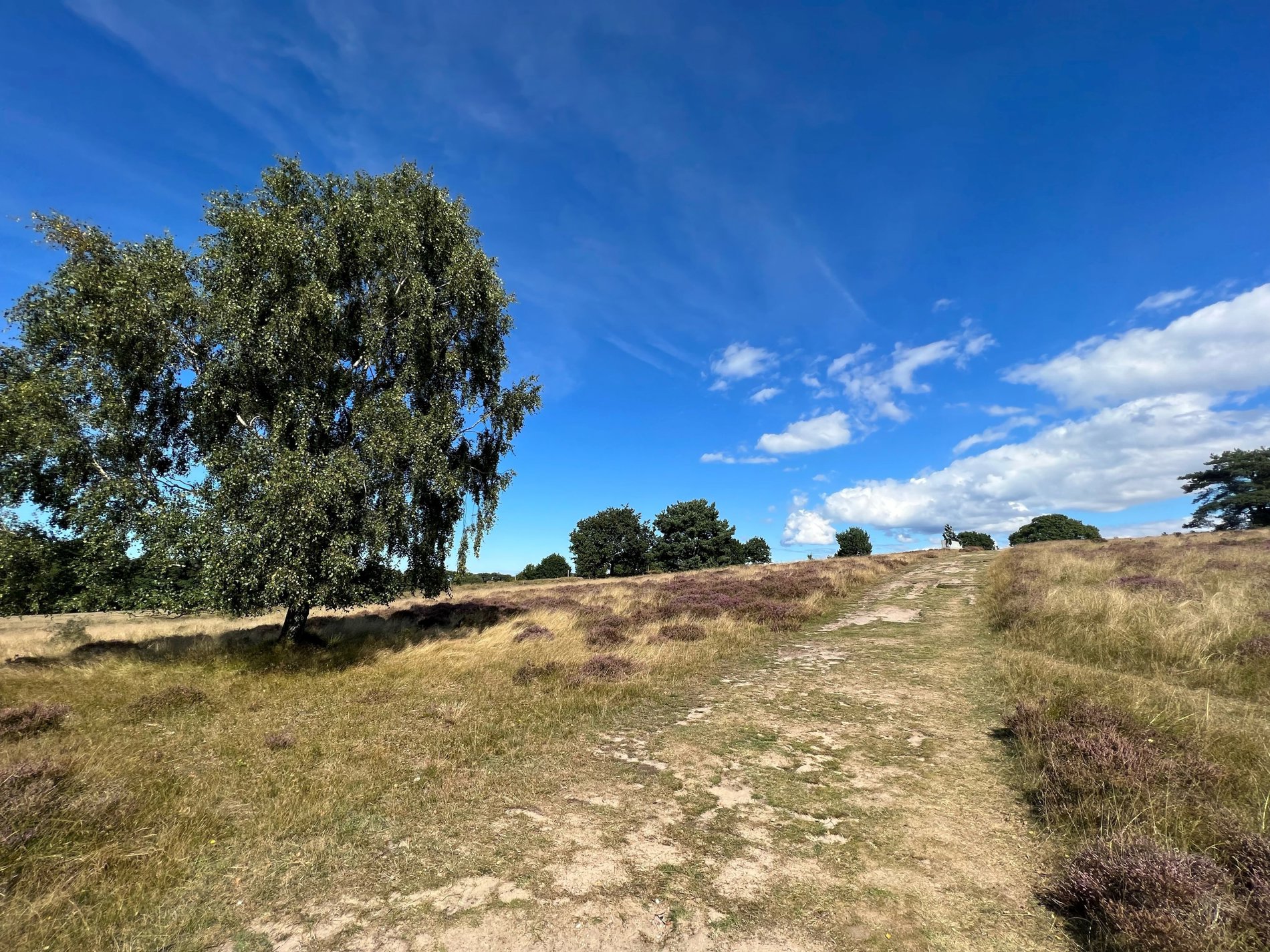 Villingebæk Strandvej 607B, 3120 Dronningmølle - Billed