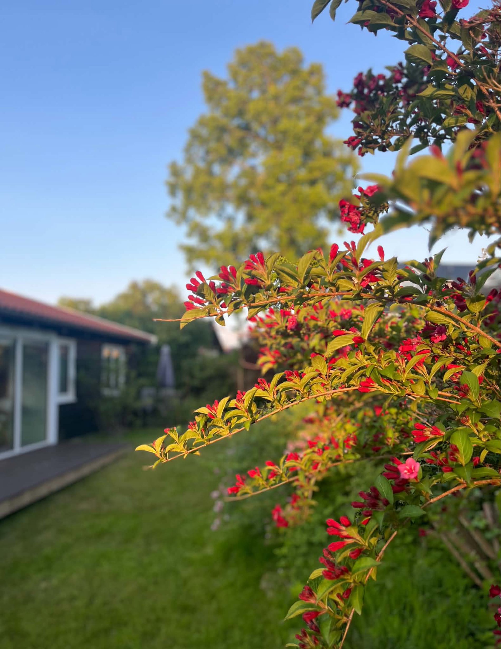 Grøndahlsvej 2A, 3120 Dronningmølle - Billed