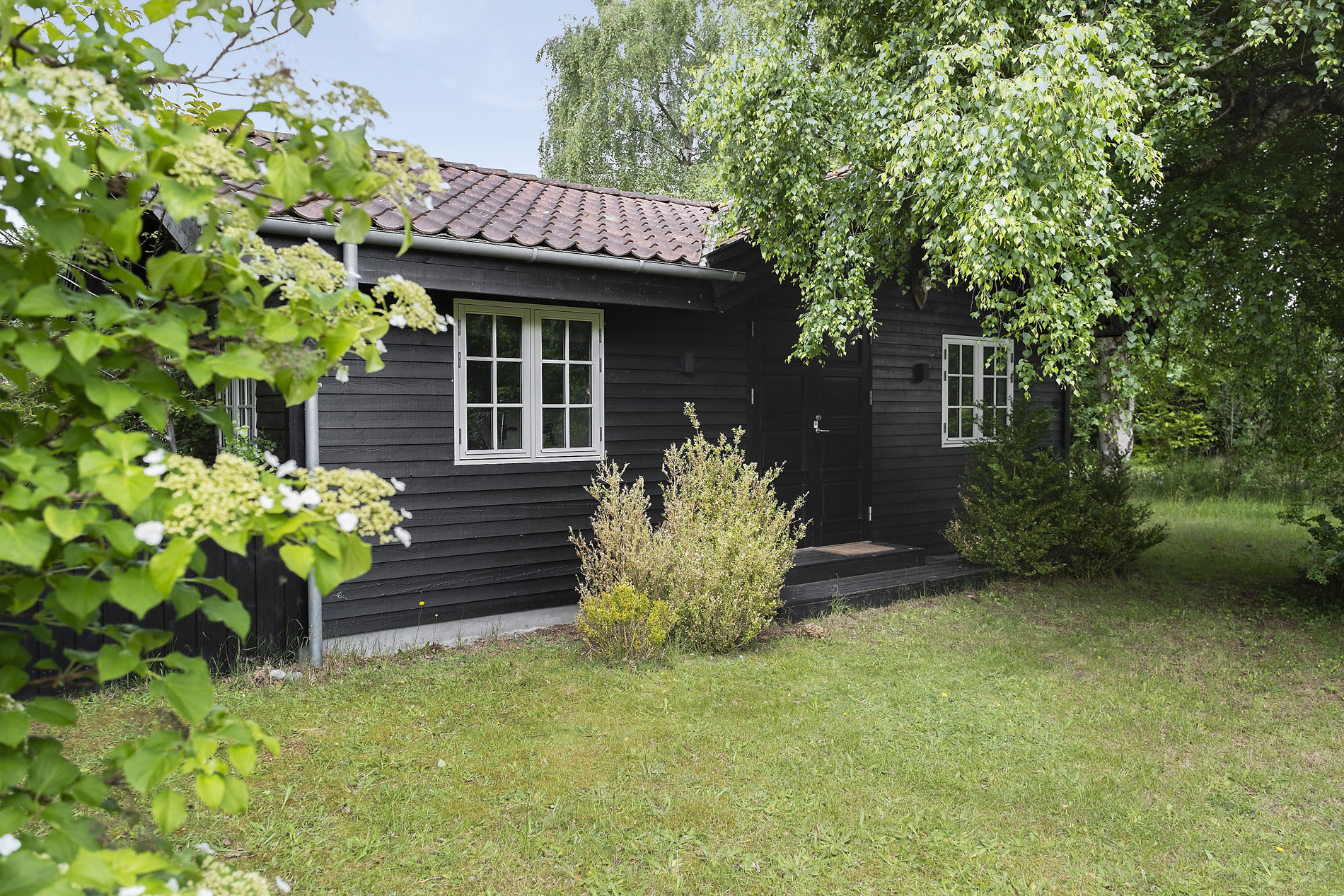 Område