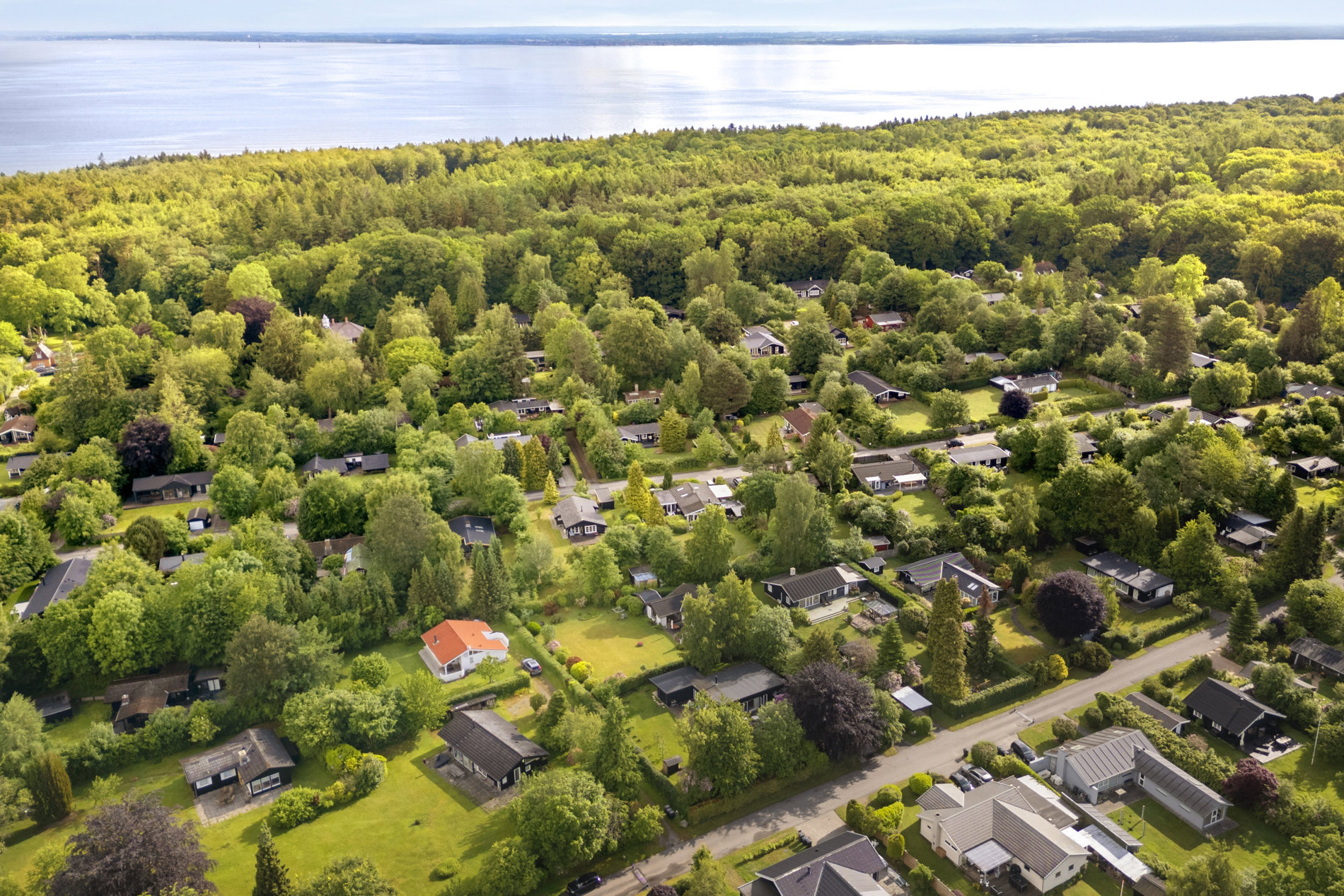 Område