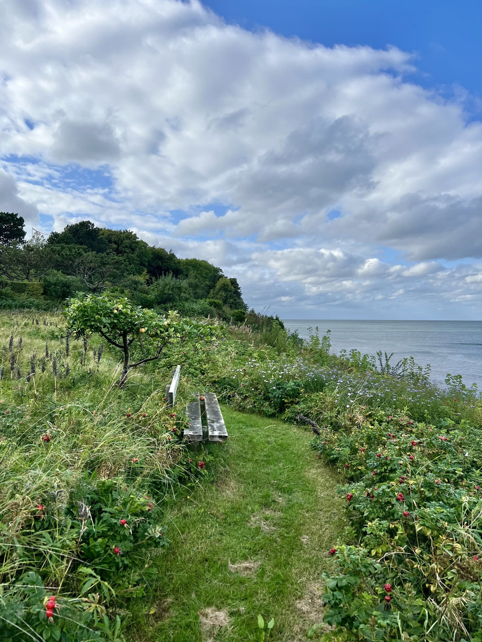 Jacobslystvej 17, 3250 Gilleleje - Billed