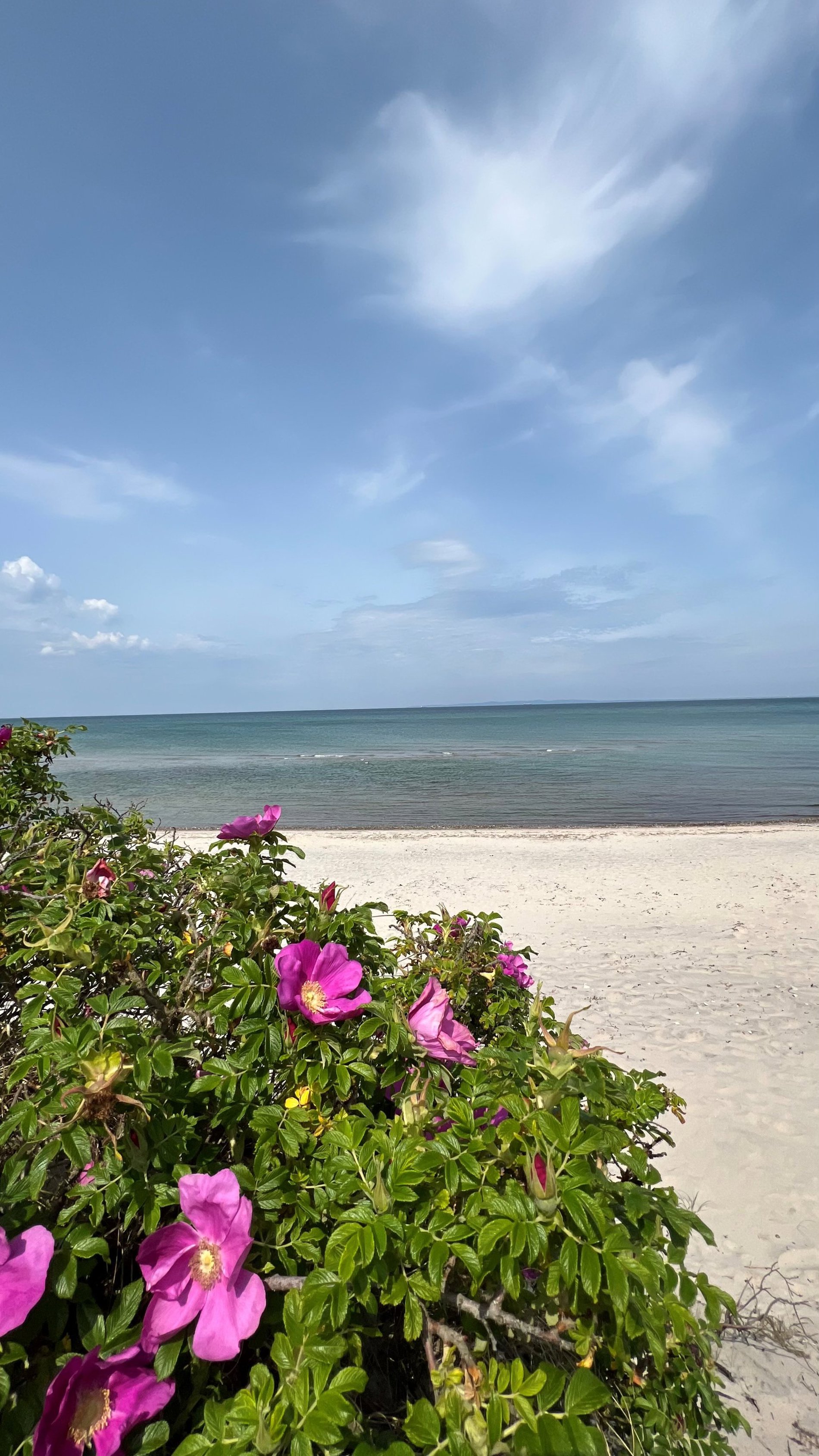 Uglevej 1, 3120 Dronningmølle - Billed